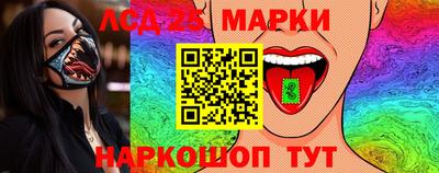 гидропоника Кулебаки